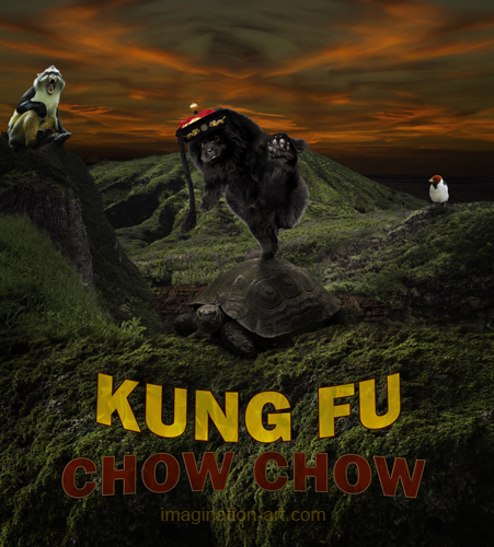Kung Fu Chow Chow